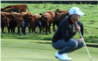24th Annual Zeta Sigma Foundation Golf Tournament - Default Image of Guest Steak dinner Purchase