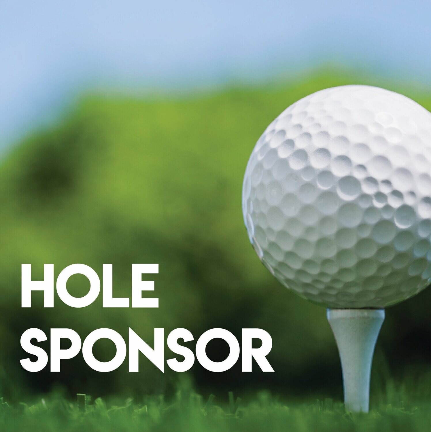 Veritas Classic - Default Image of HOLE SPONSOR