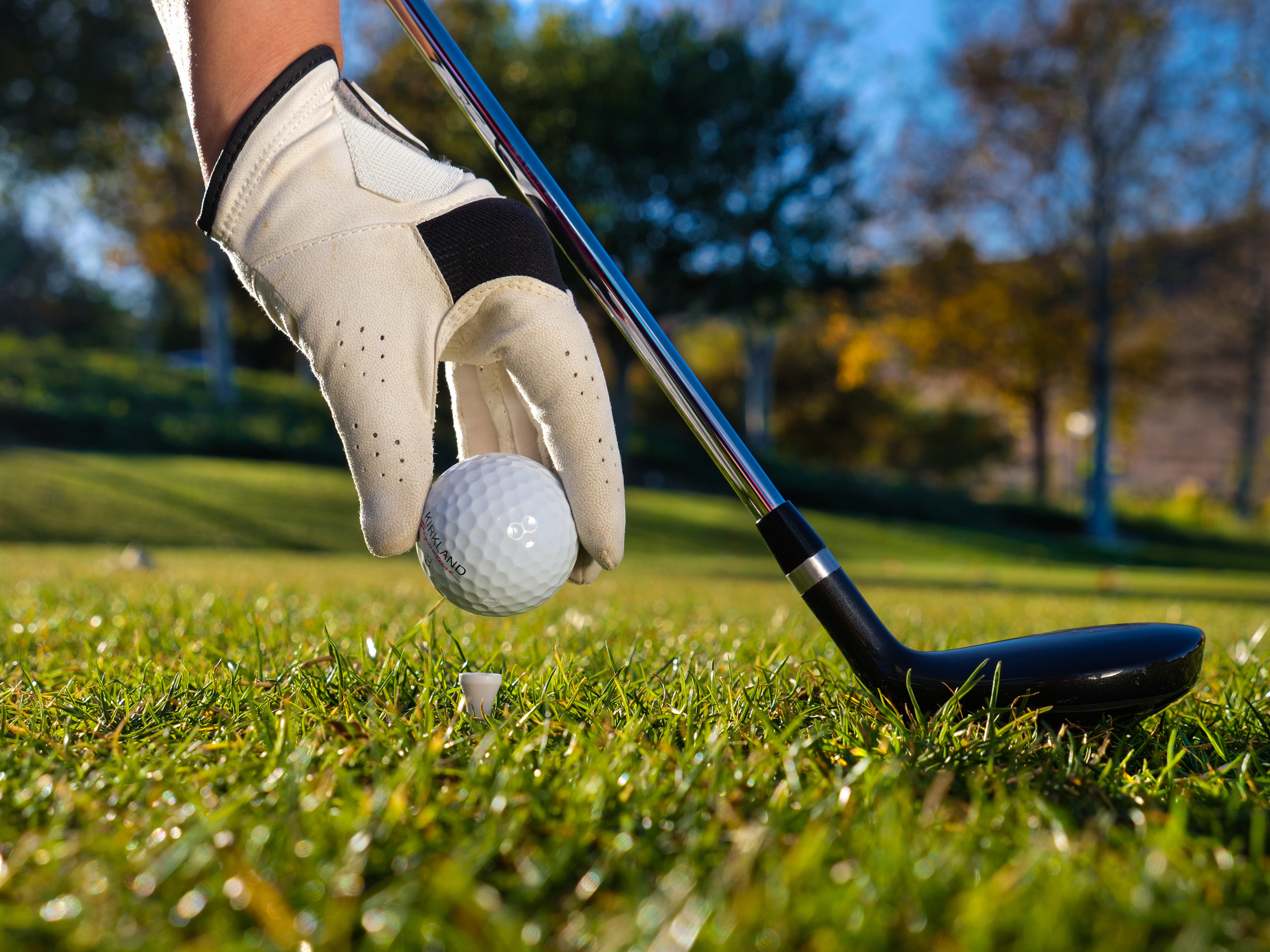 GIC HIMSS 2025 Charity Golf Tournament - Default Image of Birdie Sponsor
