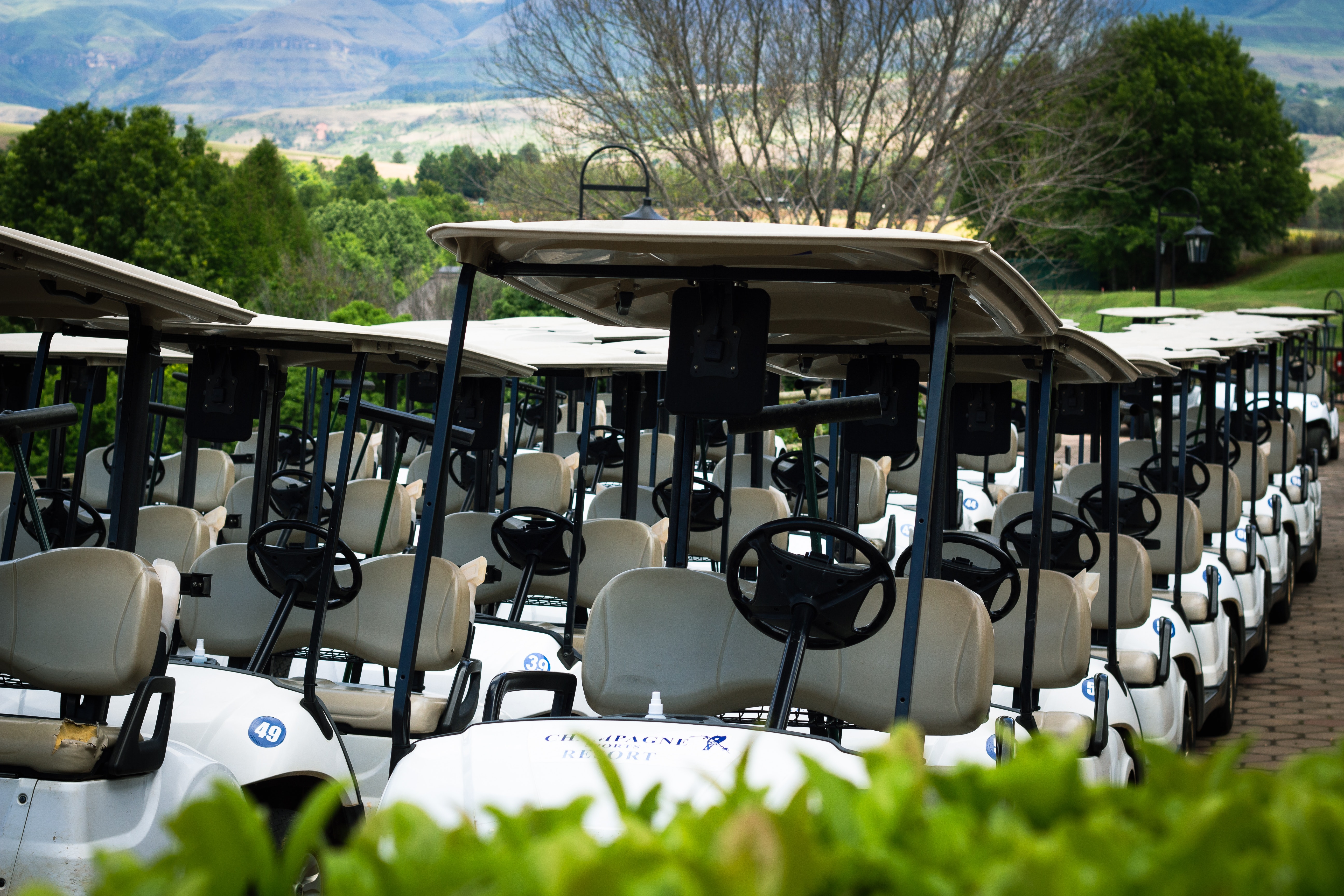 GIC HIMSS 2025 Charity Golf Tournament - Default Image of Golf Cart Sponsor