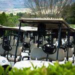 Image of Golf Cart Sponsor