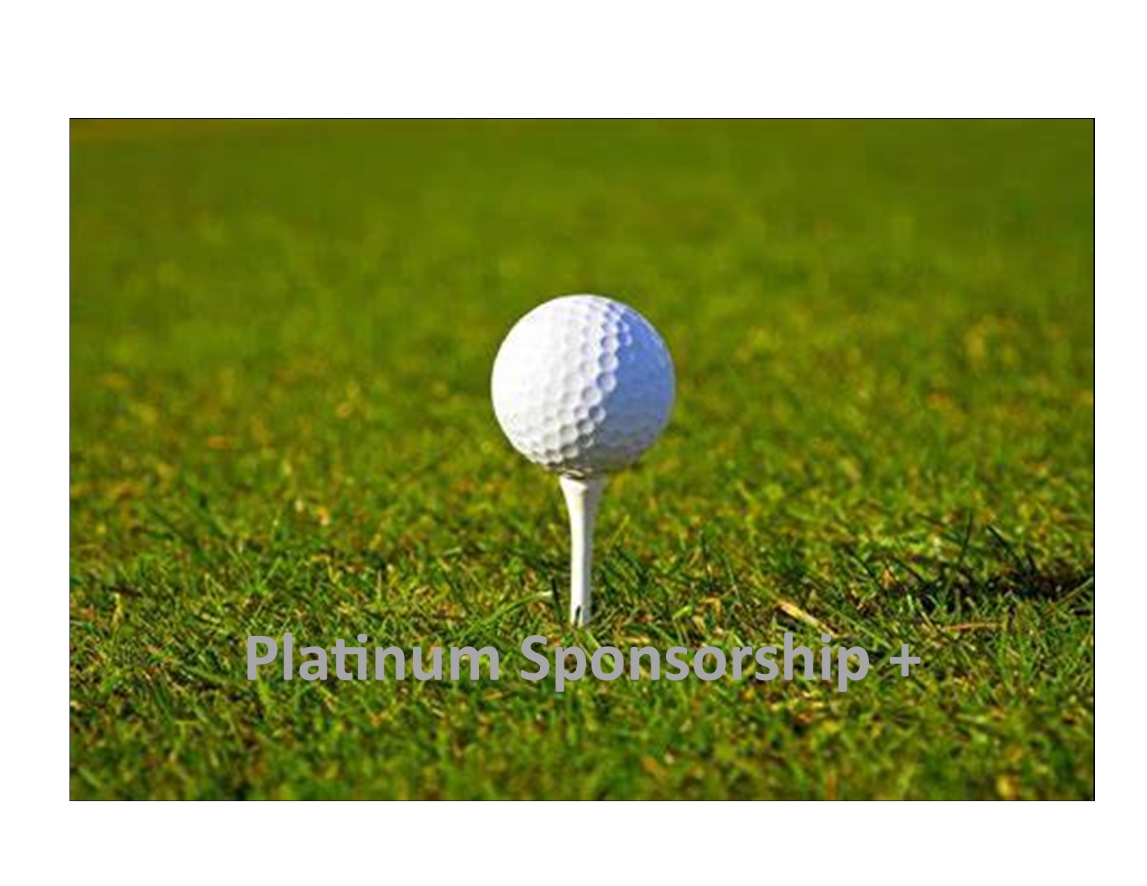 Swing for Change: Drive Out Hunger in EYSD - Default Image of Platinum Sponsor Plus