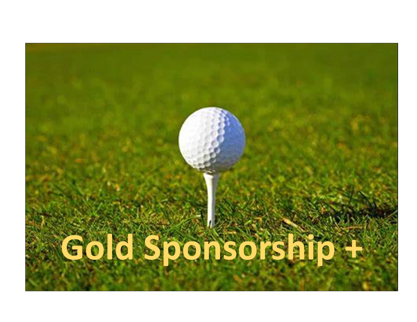 Swing for Change: Drive Out Hunger in EYSD - Default Image of Gold Sponsor Plus