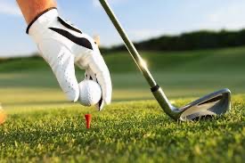 Top Speed Hockey Inaugural Golf Tournament - Default Image of Tee Box Sponsor