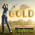 Image of Gold Sponsor