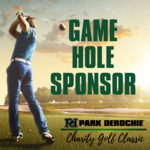 Image of Game Hole Sponsor