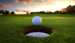 2025 SWLL Golf Tournament - Default Image of Title Sponsor