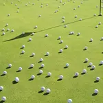 Image of Mulligans