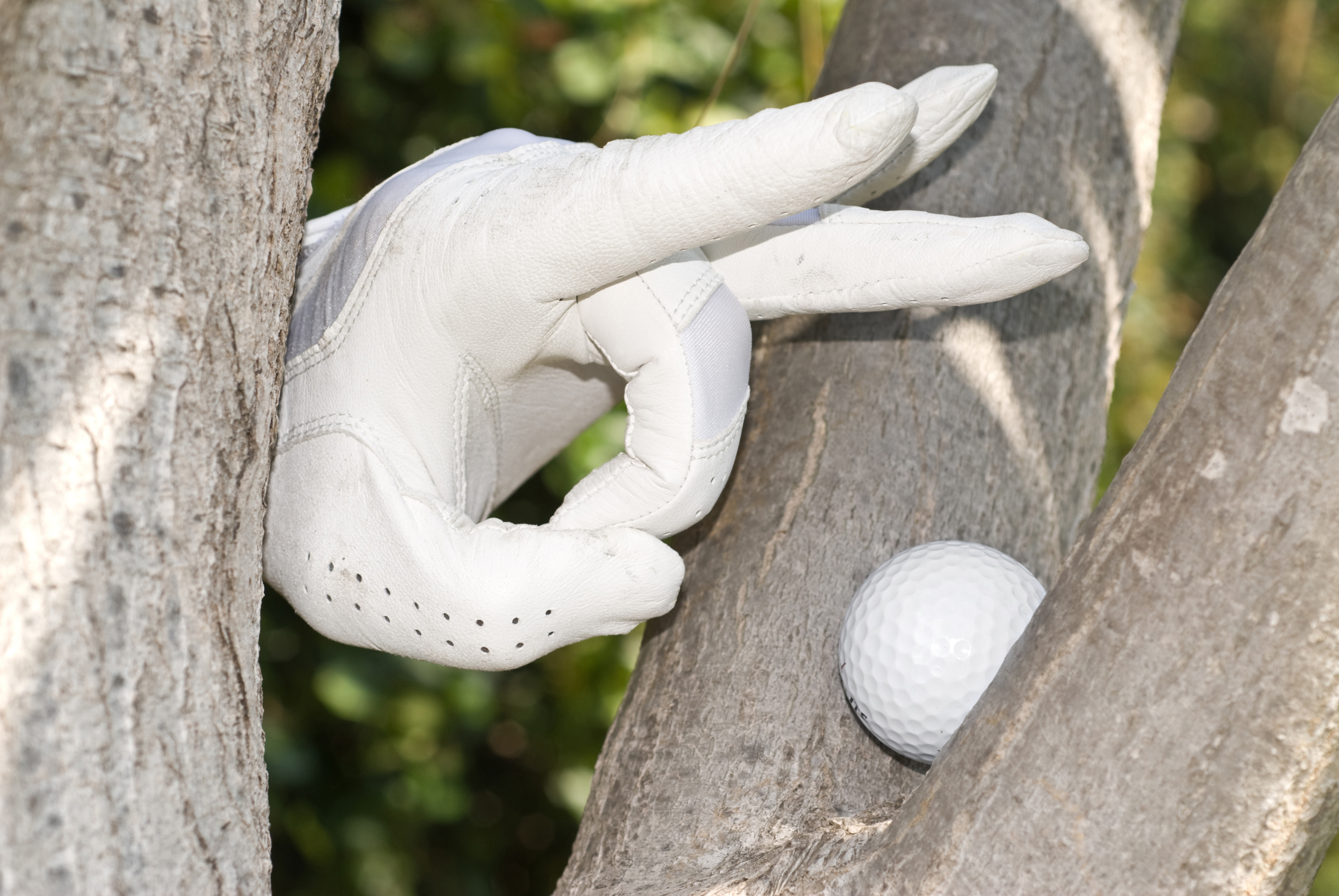 TDT's 3rd Annual Charity Golf Tournament - Default Image of Par-Tee Package (Mulligans and More)