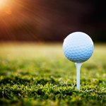 Image of Prize Sponsor