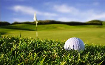 AAWCC Scholarship Scramble - Default Image of Individual/Family Hole Sponsorship