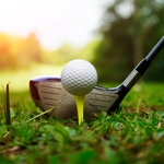 Image of Longest Drive