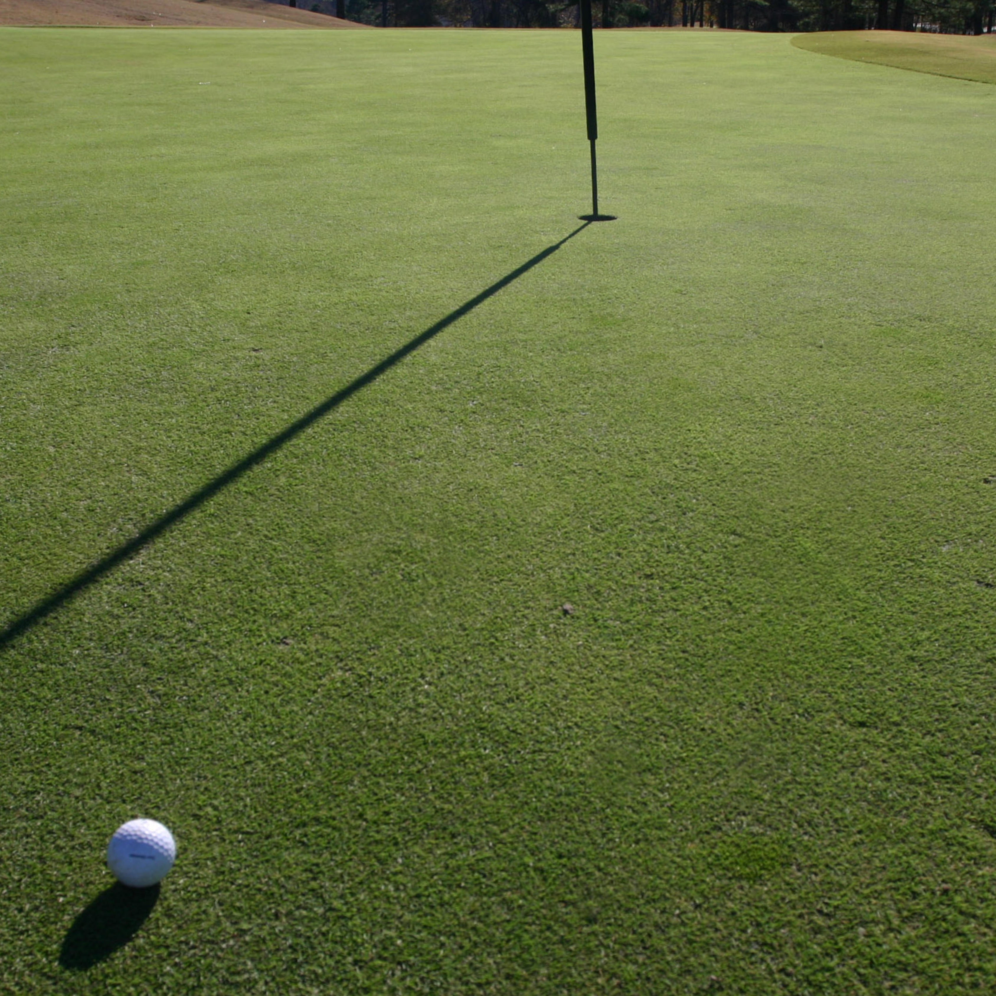 5th Annual Ary Land Company Invitational - Default Image of Longest Putt