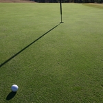 Image of Longest Putt