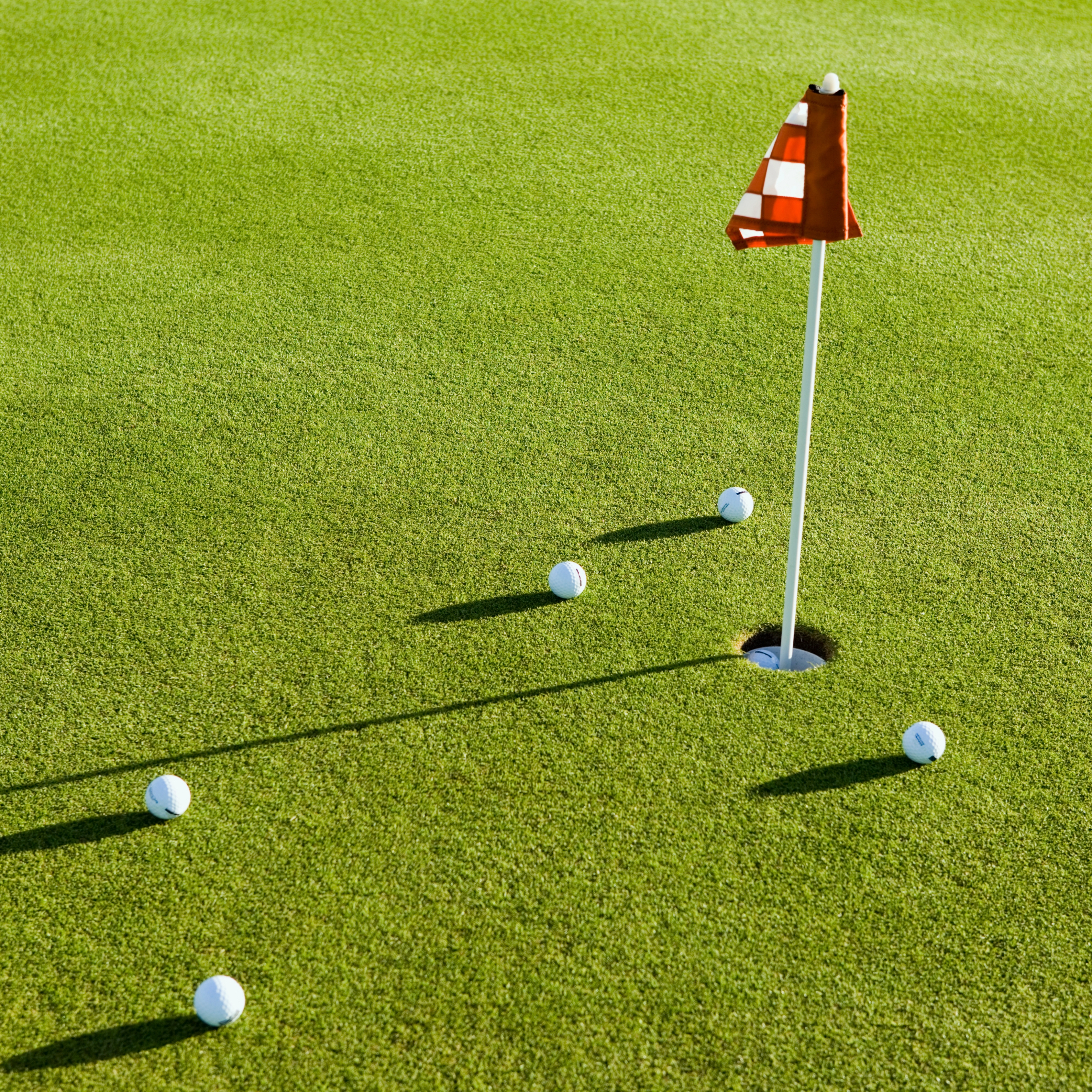 5th Annual Ary Land Company Invitational - Default Image of Putting Green Sponsor