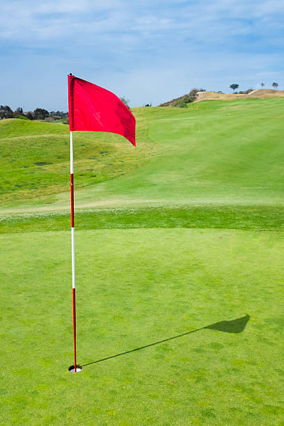 Roadrunner Golf Classic - Default Image of Pin Flag