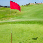 Image of Pin Flag