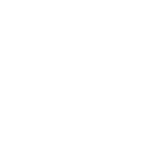 Image of Pin Flag Sponsor