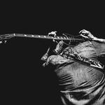 Image of Guitar Legend Sponsor