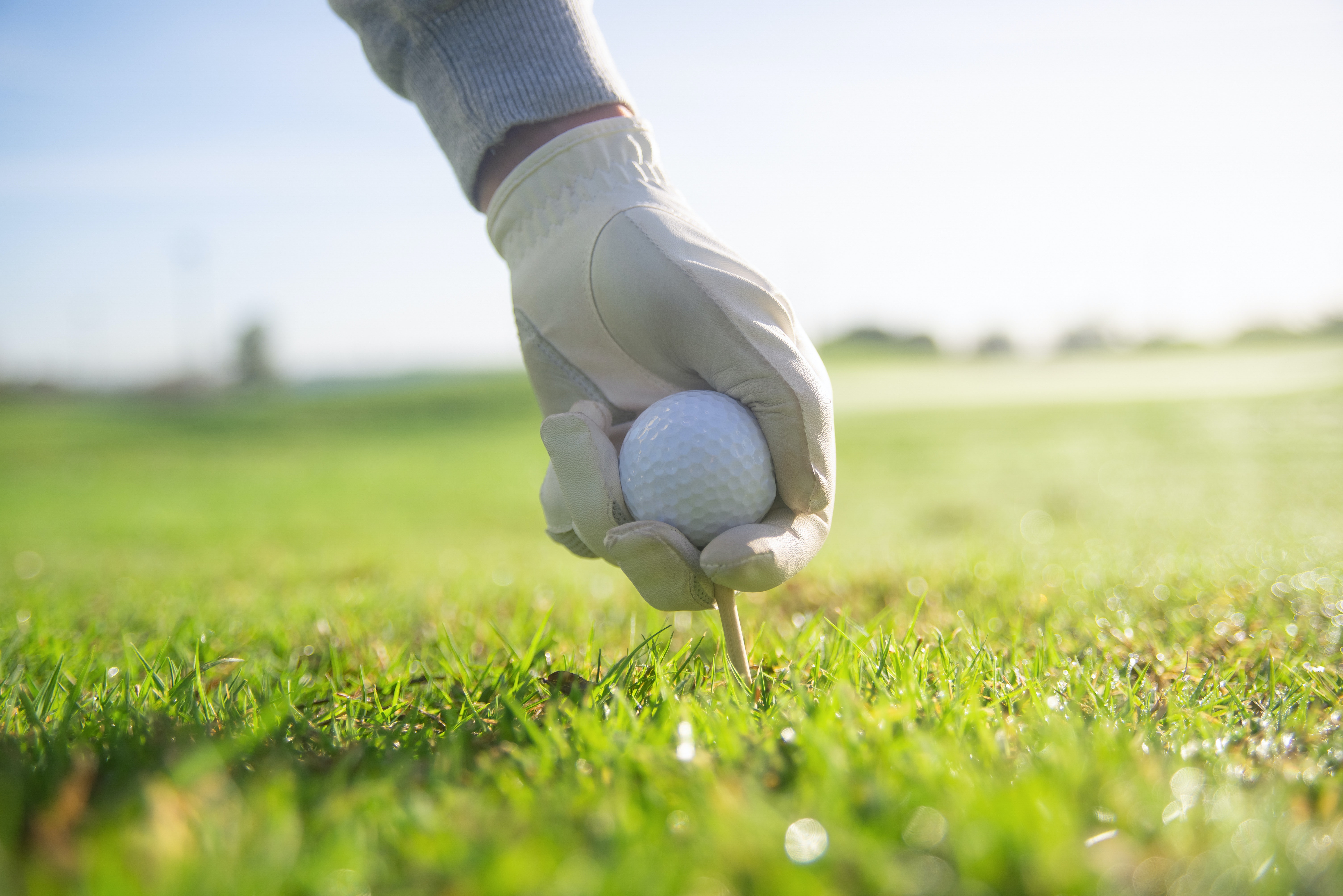 The 33rd Annual HEB Rotary Charitable Golf Tournament - Default Image of HUMANITARIAN Sponsor