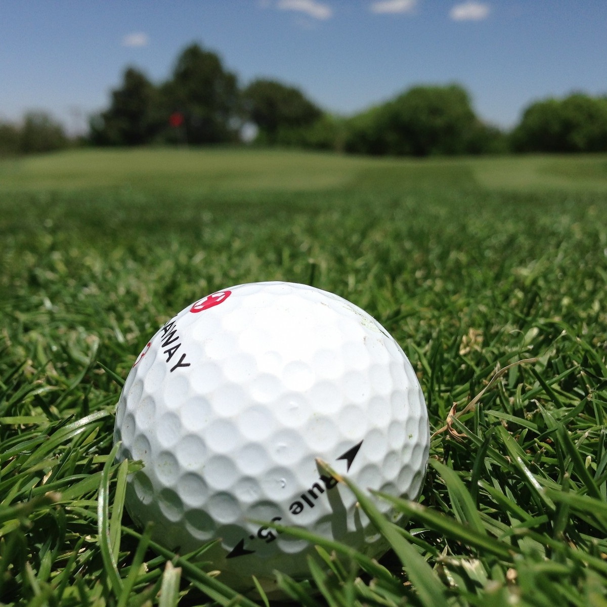 The 33rd Annual HEB Rotary Charitable Golf Tournament - Default Image of CHARITY Sponsor