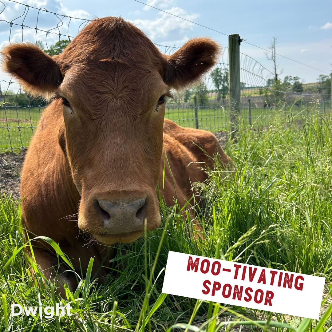 Barn Sanctuary's First Golf Classic - Default Image of Moo-Tivating Sponsor