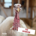 Image of Tee Sponsor