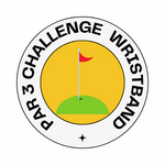 Image of HOLE CHALLENGE WRISTBAND