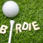 Image of Birdie
