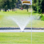 Image of SPONSOR: PIN FLAGS 