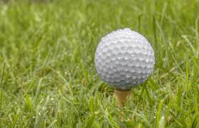 The Leon Walker Memorial Golf Classic - Default Image of Souvenir Ball Sponsorship