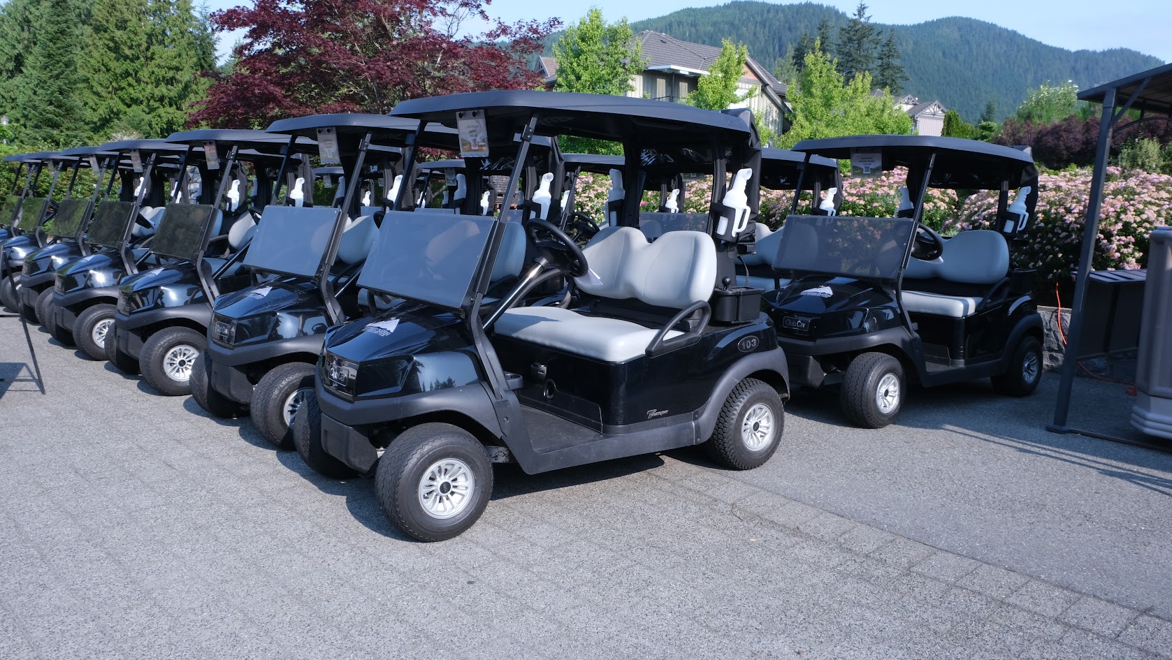 BC Lions Alumni Association - Default Image of SPONSOR: GOLF CARTS (includes 4 golfers)