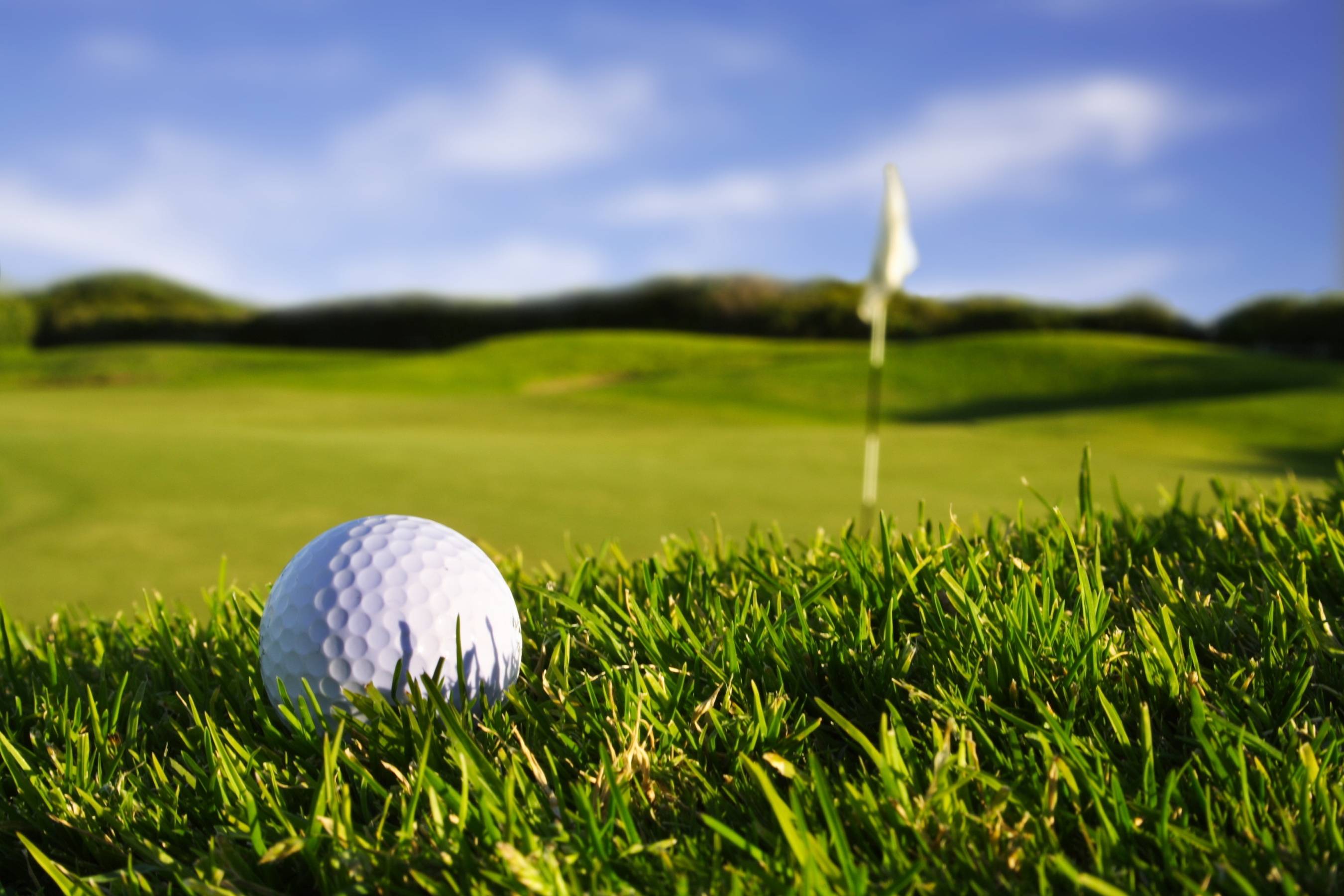 11th Annual Capitol Classic Charity Golf Tournament - Default Image of Catering Sponsor