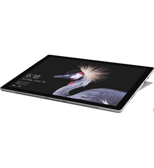 NYCH Annual Golf Outing - Default Image of 10-Raffle tickets-Microsoft Surface Pro 12.3"