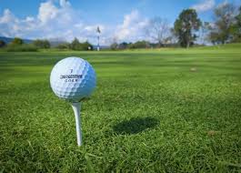 Ellington Little League Charity Golf Tournament - Default Image of Longest Drive Contest Sponsor