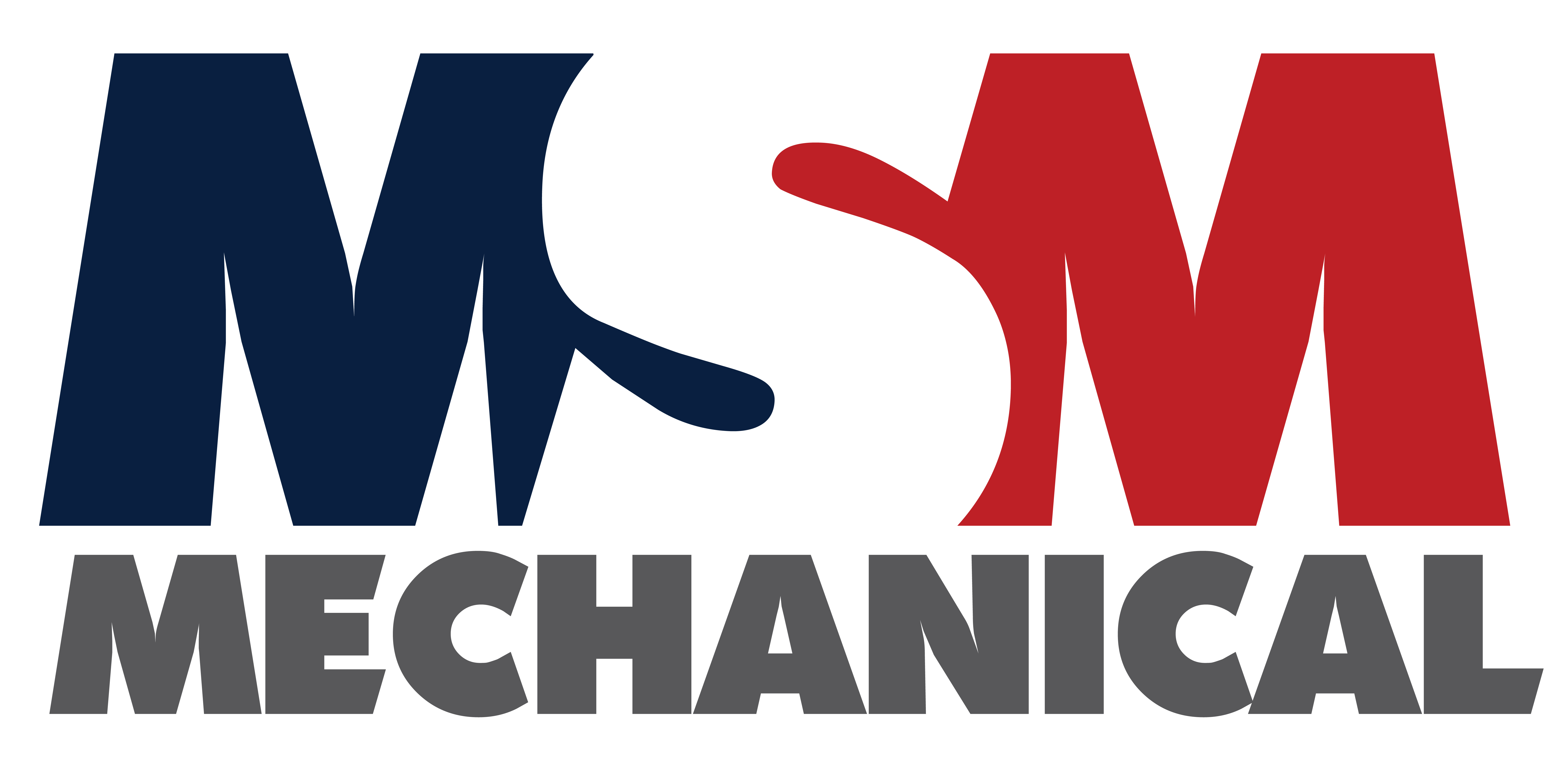 MSM
