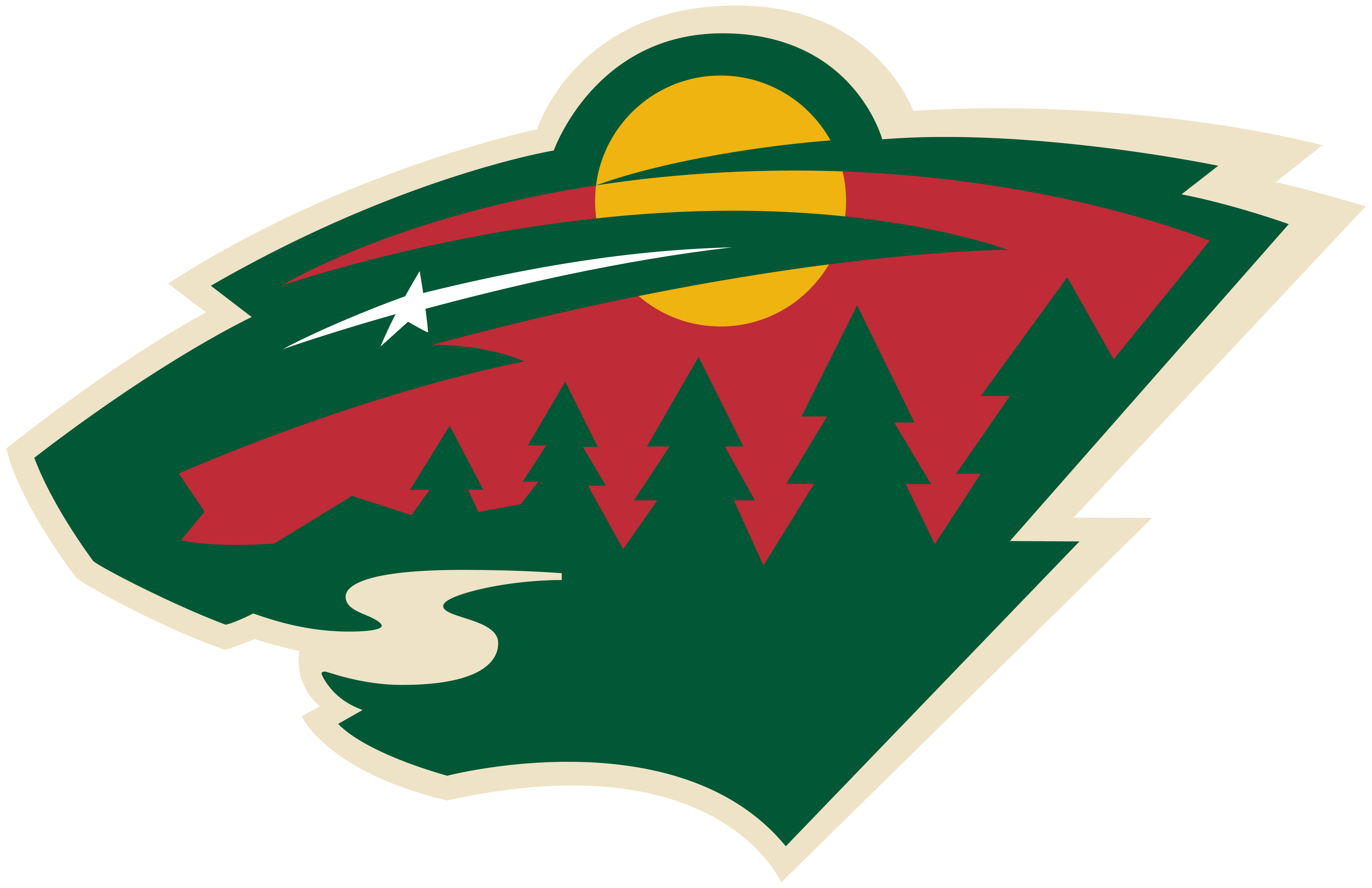 MN Wild