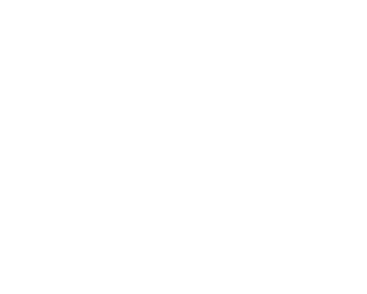 Gillette Pepsi Companies