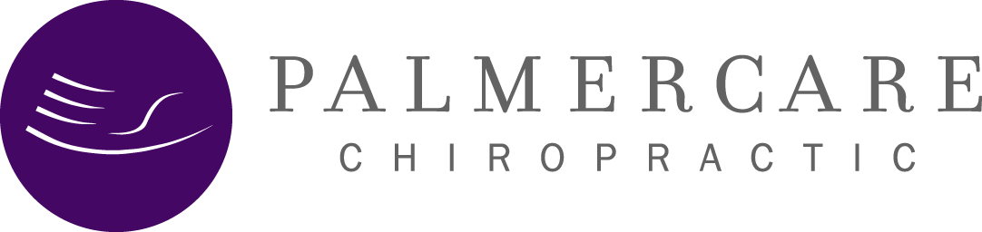 The 19th Hole Clubhouse Experience - Palmercare Chiropractic - Logo