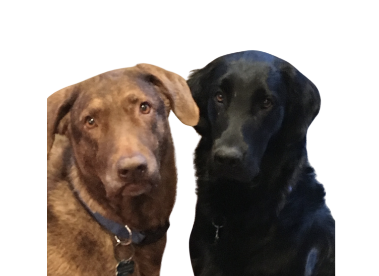Bridger & Deets
