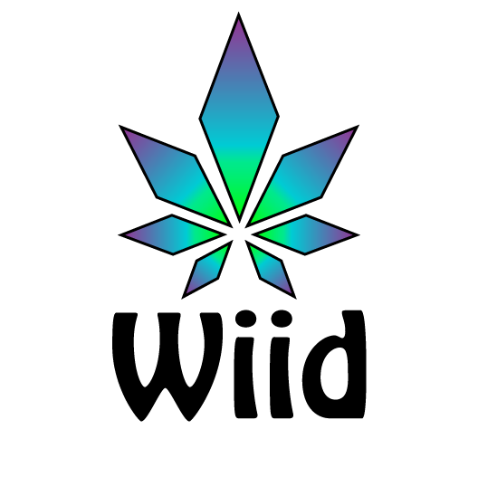 3rd Place Sponsor - Wiid Boutique Inc. - Logo