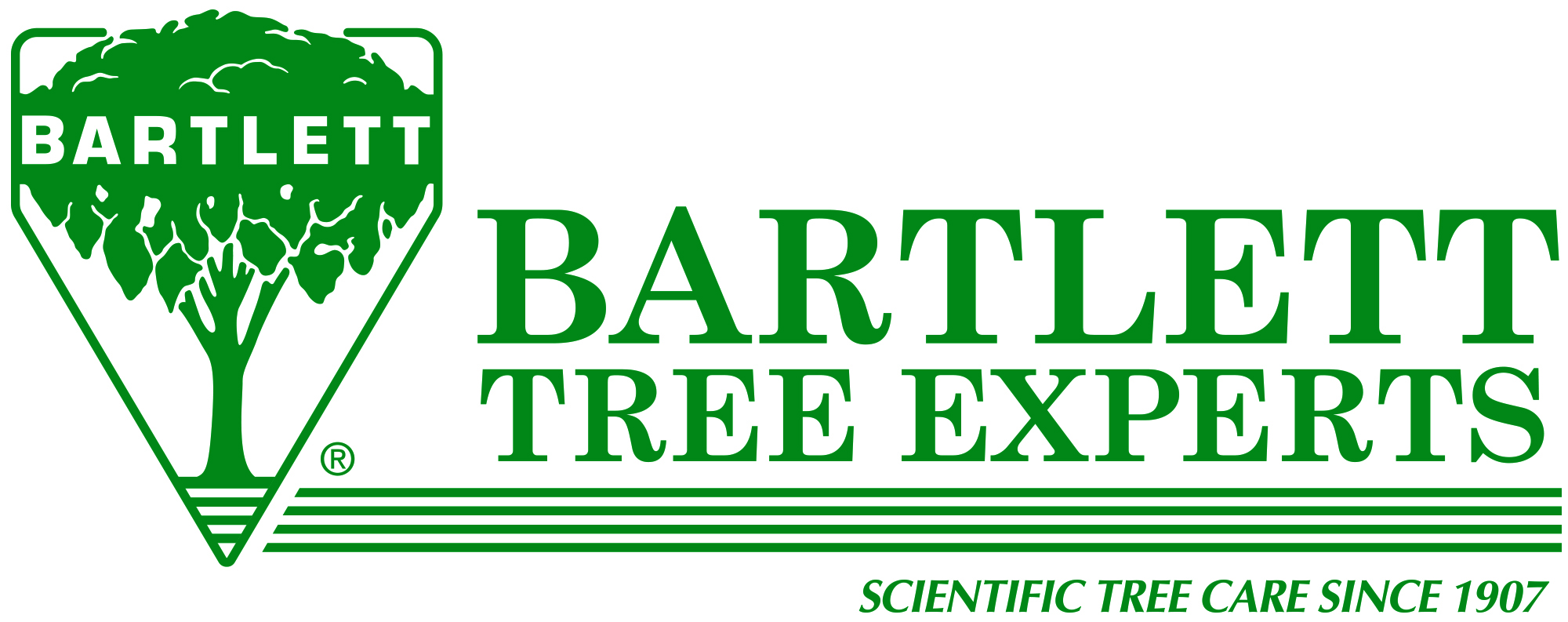 Grayson Bolles (Bartlette Tree)