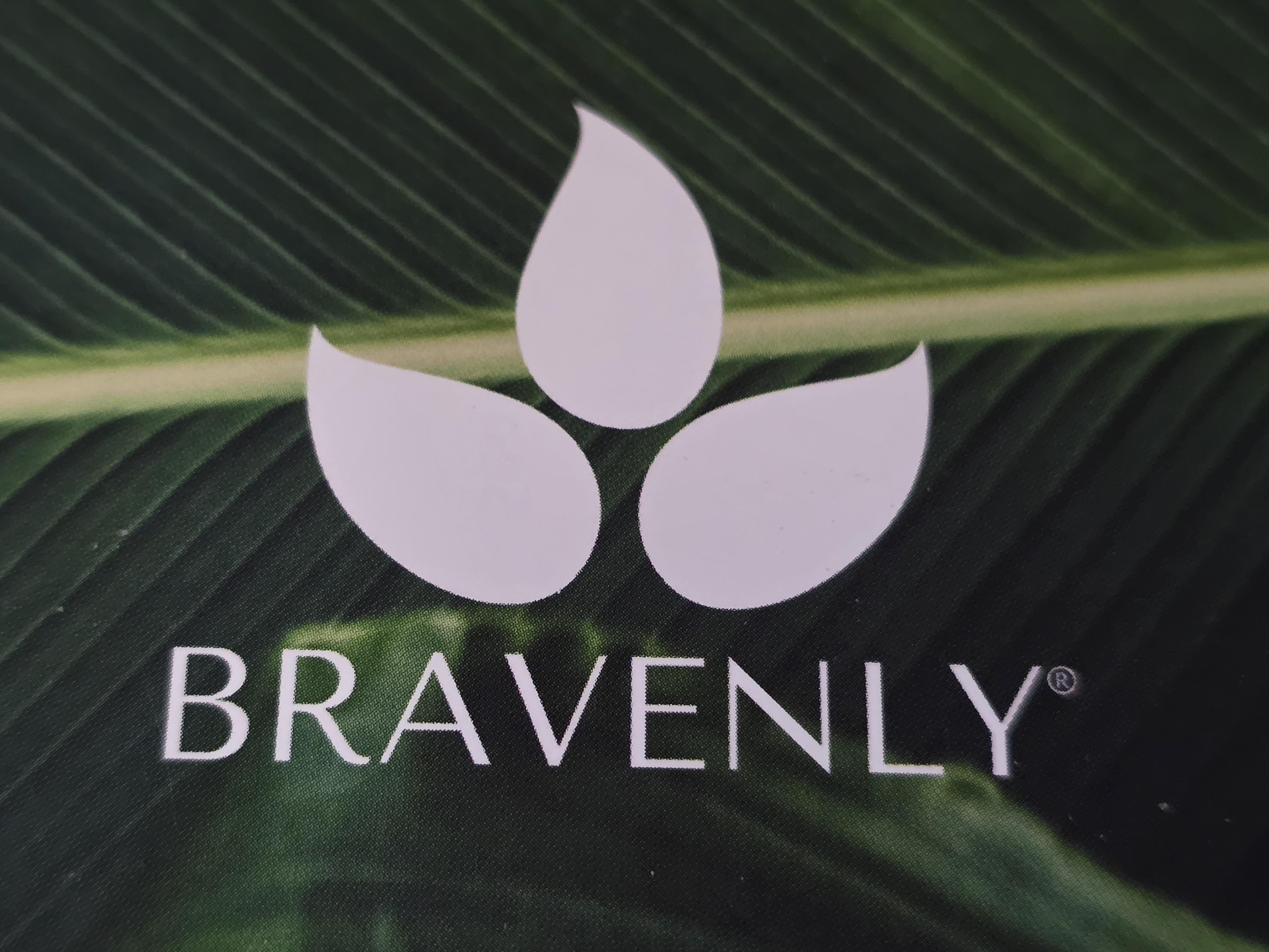 Bravenly Global