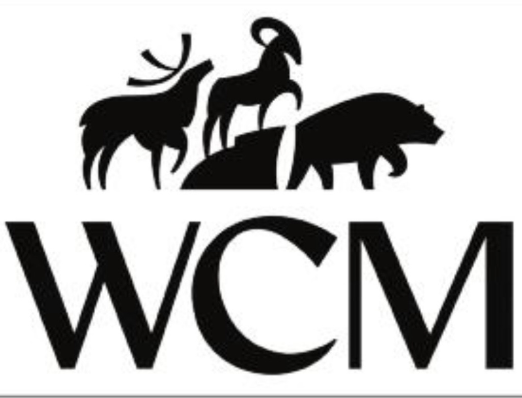 Tee Sponsor 2025 - WCM Investment Management - Logo