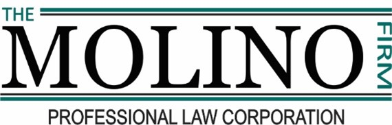 The Molino Firm