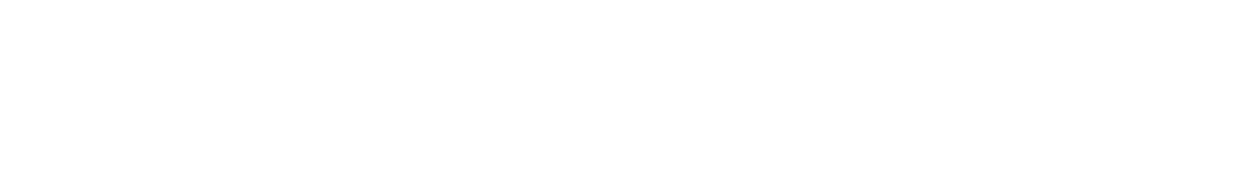 OneStream
