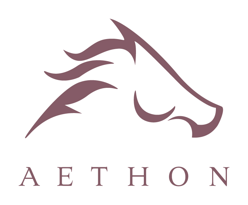 Lunch Sponsor - Aethon Energy - Logo