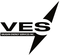 Eagle - Ves Inc - Logo