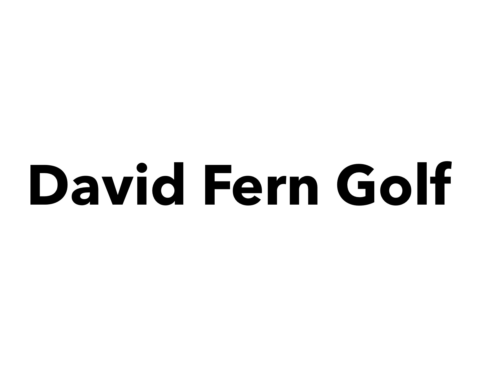 Birdie Partnership - David Fern Golf - Logo