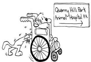 Hole Sponsor - Quarry Hill Park Animal Hospital - Logo